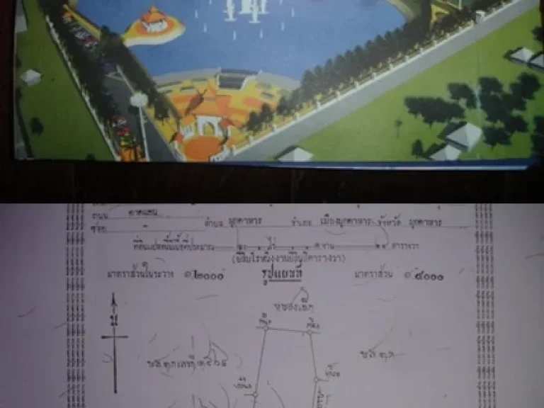 ขายที่ดิน ติดสวนสาธารณะหนองเม็กสวนสาธารณะสี่มุมเมือง20 ไร่ 1 งาน 24 ตารางวา