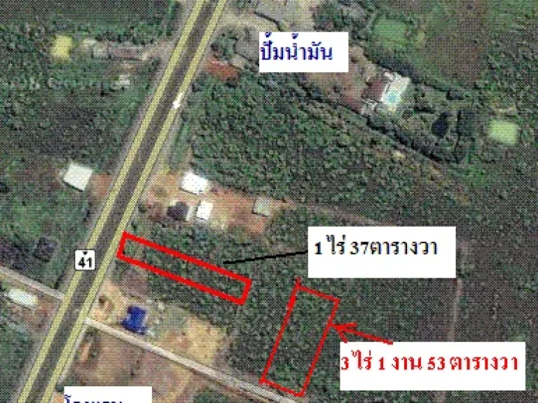 ขายที่สวนปาล์ม ติดถนนเพชรเกษมหมายเลข 4 ชุมพร