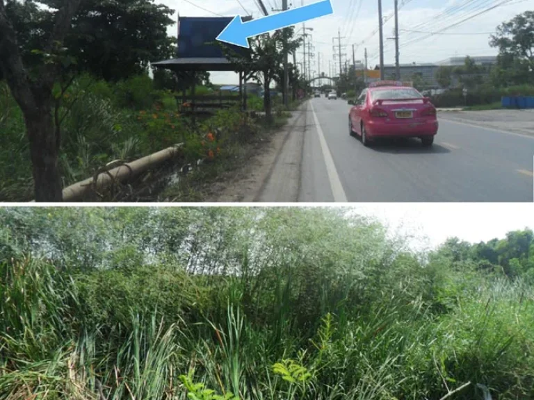 ขายที่ดินย่านบางแก้ว สมุทรปราการ ติดถนนสายหนามแดงสาย ใกล้ เมกกะบางนา หมู่บ้านสายลม