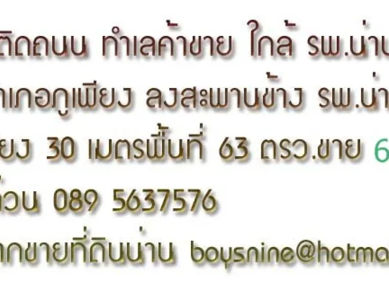 ขายที่ดินติดถนนใกล้ รพ น่าน 63 ตรวหน้ากว้าง 25 ม6แสน0895637576