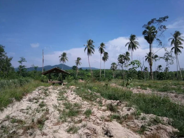 ขายที่ดิน ใกล้ มอ ใหม่ ห้องละ 150000 บ ที่สูง วิวสวย เข้าทางถนนปุณณกัณฑ์