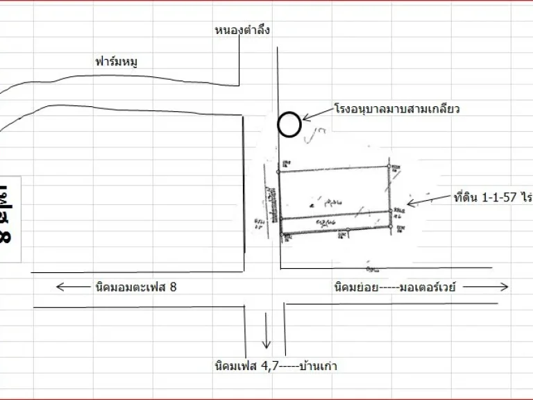 ขายที่ดินติดถนนสายหนองตำลึง-นิคมอมตะ-บ้านเก่า