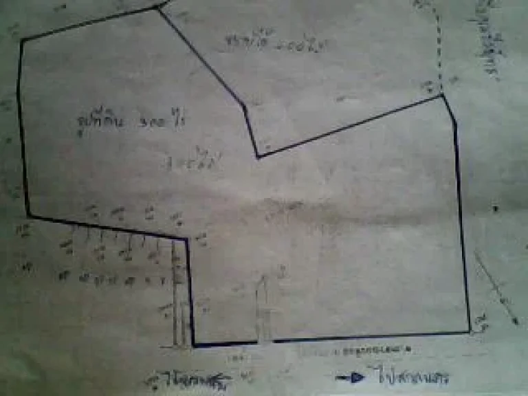 Teedinที่ดินเปล่า 300ไร่