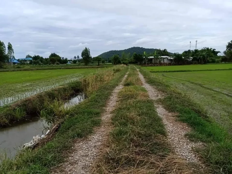 ขายที่ดินโฉนดติดทางสาธารณะมีเพื่อนบ้านน้ำไฟพร้อมห่างหลัก100มอากาศดีเหมาะปลูกบ้านพักหลังเกษียณตเตาปูนอโพธารามราชบุรี