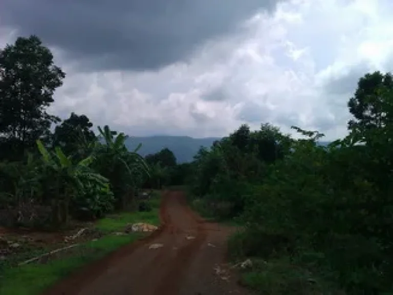 ขายที่ดินบ้านคลองปูน ปากช่อง ขนาด 2 งาน 800000 บาท อยู่บนเนิน วิวเขาใหญ่ 