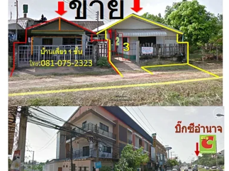 ขายบ้านพร้อมที่ดินถูกๆๆๆ แถมห้องเช่าในแปลงเดียวกัน 3 ห้องฟรีมีคนเช่าเต็มทุกห้องหน้าบิ๊กซี่ หน้าขนส่ง