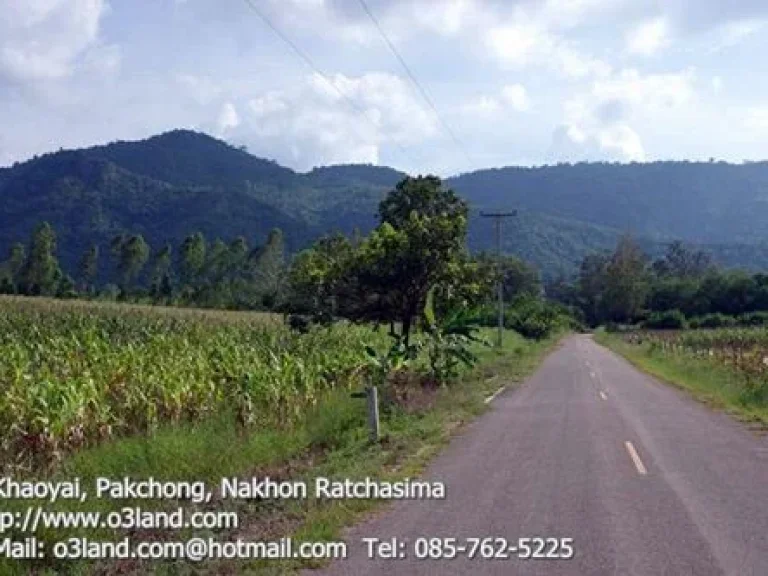 ที่ดิน 10 ไร่ติดเขาใหญ่ เลือดไทย หมูสี - วิวตามรูปครับ