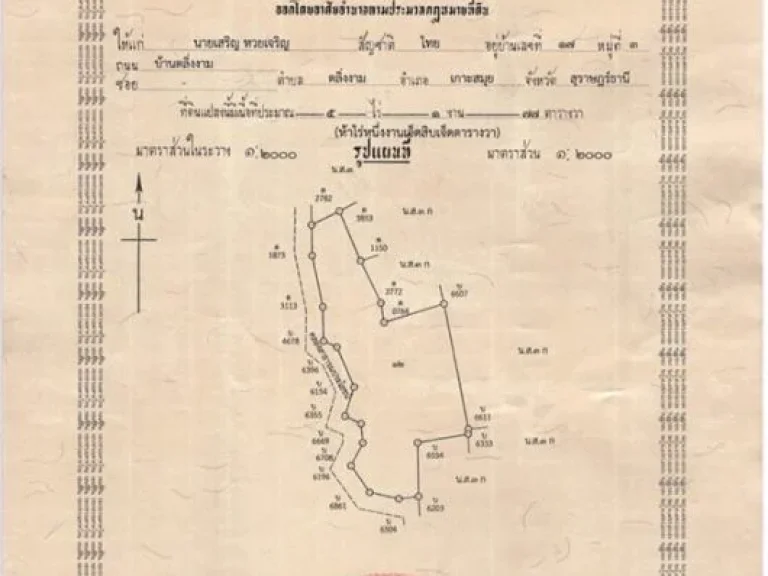 ขายที่ดินเกาะสมุย 2 แปลงติดกัน ตตลิ่งงาม อเกาะสมุย