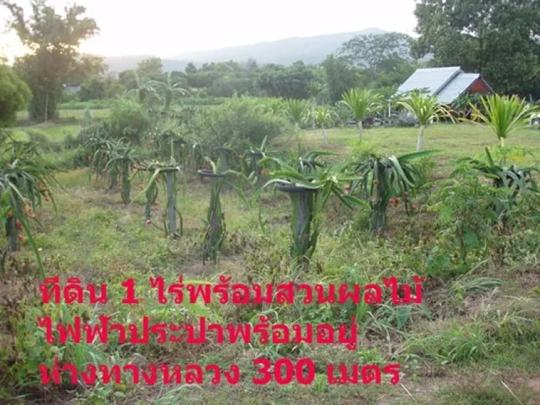 สวยบรรยากาศดีเพื่อการเกษตร บ้านพักตากอากาศหลายแปลงในภูเรือและเชียงคาน เราคัดคุณภาพ ถูกใจคนซื้อ ราคาพิเศษ