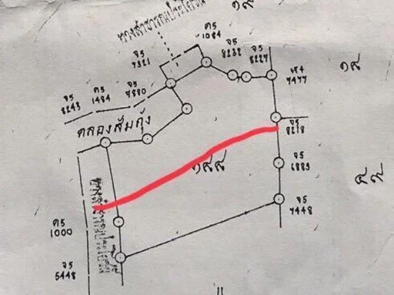 ขายที่ดินจำนวน 10 ไร่ หรือแบ่งขาย 5 ไร่