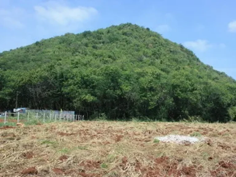 ขายที่ดินโฉนด 4 ไร่ ตหมูสี ด้านหลังติดภูเขา