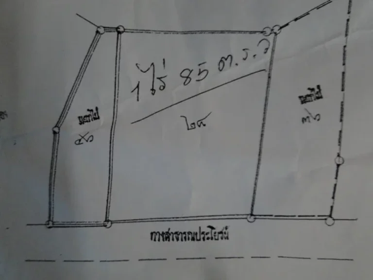 ขายที่ดิน 185 ตรวหน้ากว้าง 50 เมตร หลังวิทยาลัยบึงพระ ติดทางลาดยางสาธารณมีไฟฟ้าประปา อยู่ในชุมชน ไกล้สนามบินเพียง 7 นาท