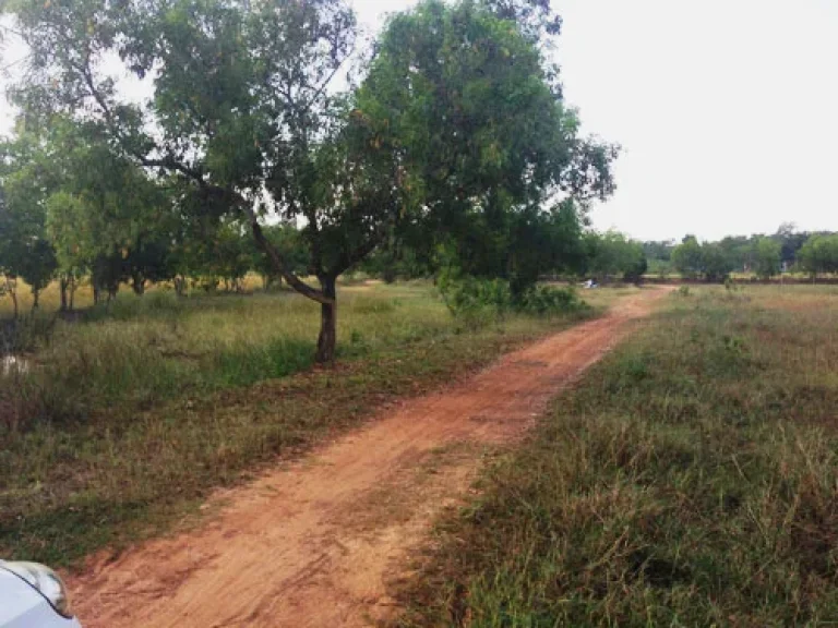 ขายที่ดิน 21 ไร่ ด้านหลังสนามบินนานาชาติ จังหวัดอุดรธานี