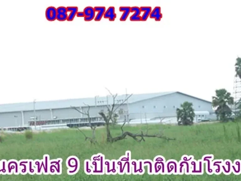 ขายที่ดินอมตะนคร 7 ไร่ เฟส 9 ราคาถูก