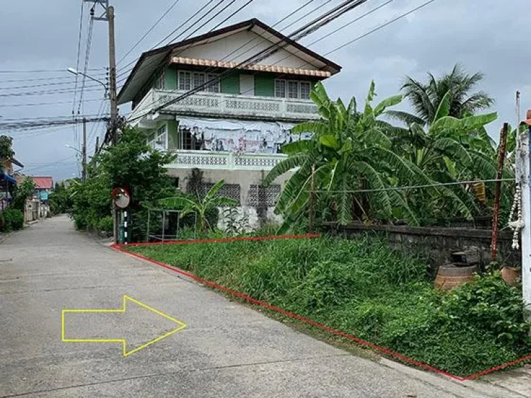 ขาย ที่ดินเปล่า 528 ตรว ติดถนนซอยบางกร่าง 59 นนทบุรี