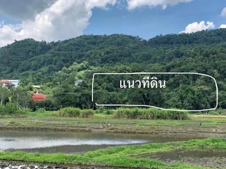 ที่ดินเนินเขา ขนาด15 ไร่ ติดแม่น้ำ วิวทุ่งนาแปลงใหญ่ บ้านปง หางดง เชียงใหม่