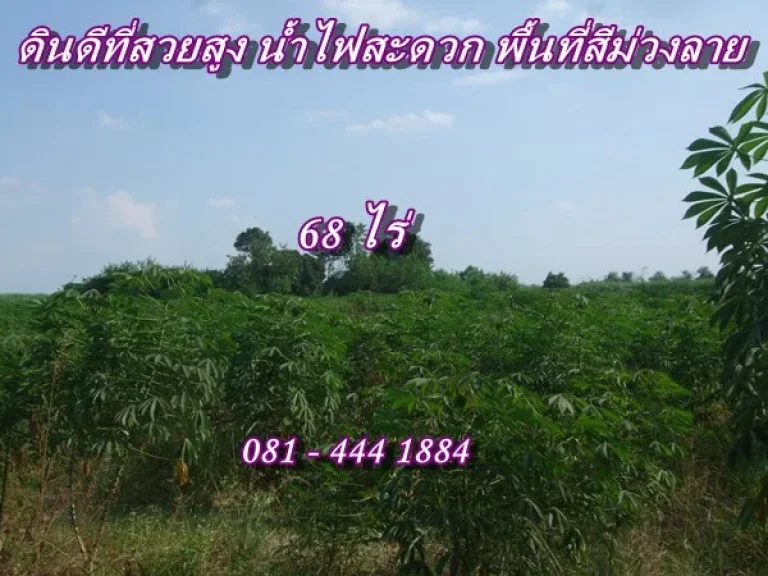 ขายที่ดิน 68 ไร่ พื้นที่สีม่วง ใกล้ ถ331 ราคาถูกมาก