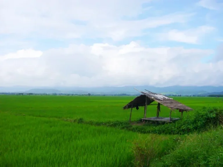 ที่ดินสวยติดริมคลองชลประทาน เมืองเชียงราย มีโฉนด