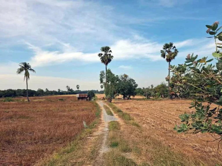 ขายที่ดิน 7 ไร่ พิหารแดง เมืองสุพรรรบุรี