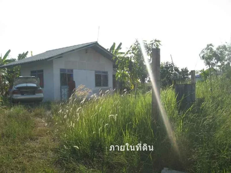 ที่ดิน 200 ตรว อยู่ อ หนองเสือ ปทุม ที่ถมแล้วพร้อมน้ำไฟ ขาย 750000 บาท