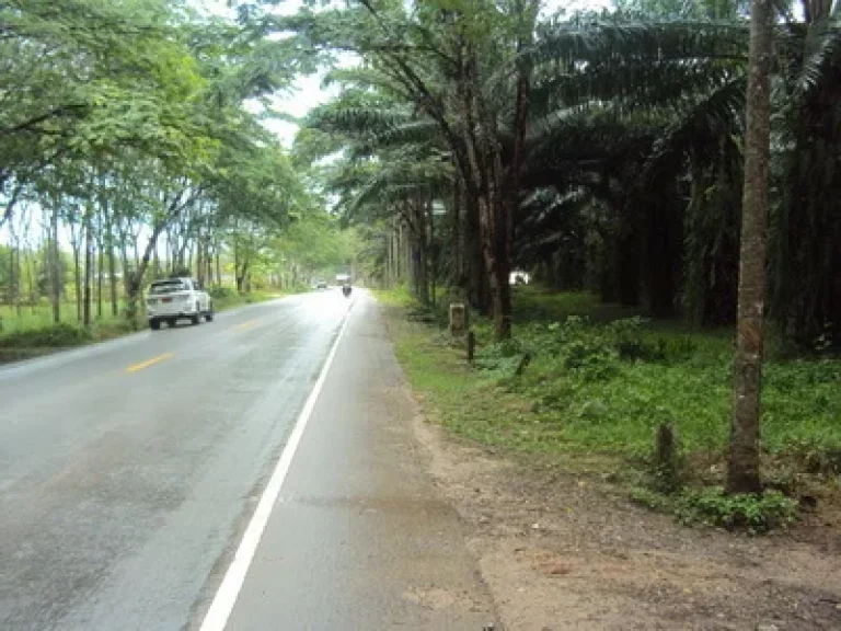 ขายที่ดินหน้าติดถนนทางหลวงแผ่นดิน สายเทพกระษัตรีย์-สาคู-ในยาง 4031 เนื้อที่ 20 ไร่ ขาย 45 ล้านบาทต่อไร่