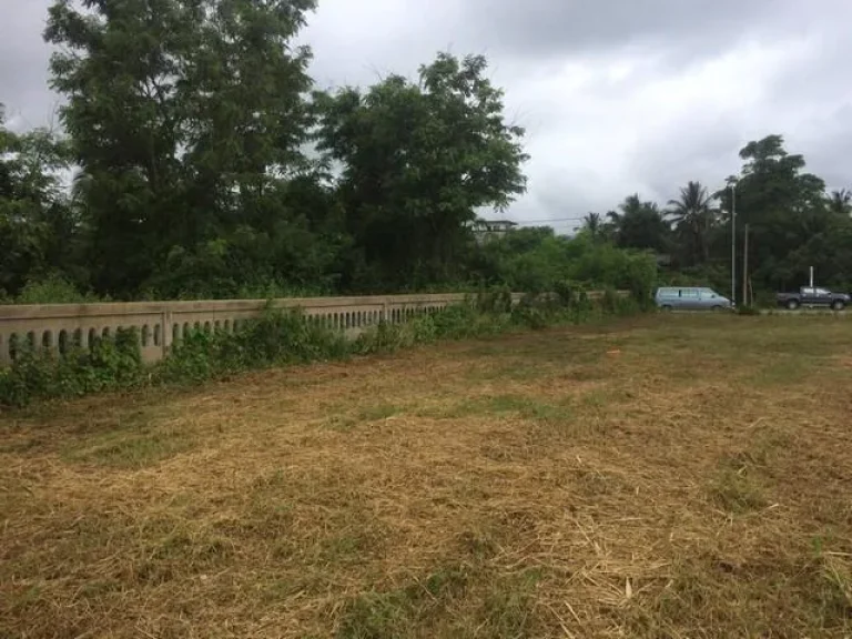 ขายที่ดินติดหาดสะพลี ชุมพร พื้นที่ 264 ตรวา