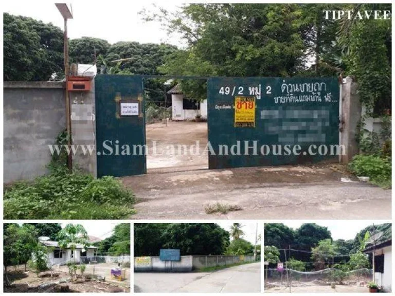 22378 ขายที่ดินเชียงใหม่ ที่ดินถูก ใกล้โรงพยาบาลสันป่าตอง เชียงใหม่ Sale Land Near Sanpatong Hospital Chiangmai THAILAND