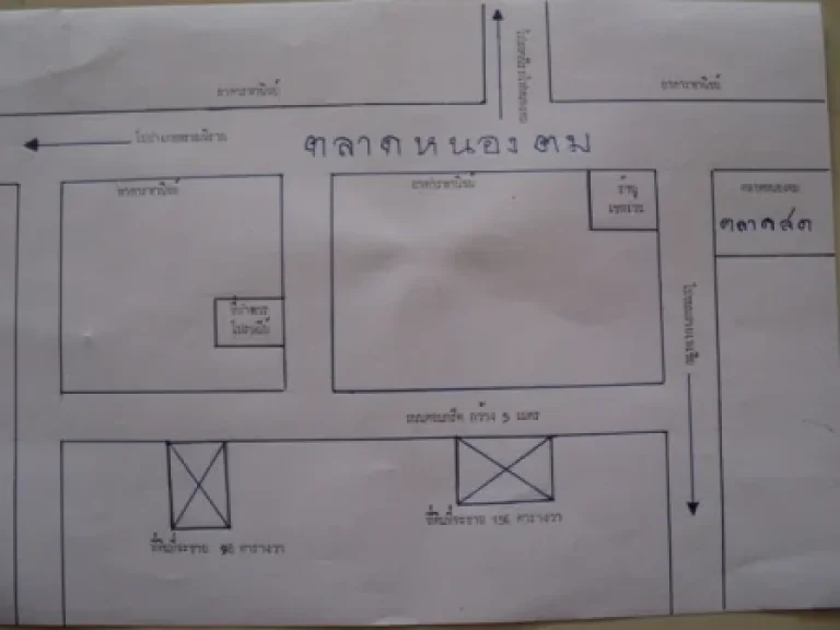 ที่ดินตลาดหนองตม อพรหมพิราม จพิษณุโลก