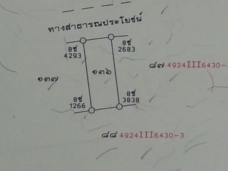 ขายที่ดินติดรั้วมอตรังจำนวน2ห้องกว้าง10เมตรยาว25เมตรที่สวยมากติดถนนลาดยางราคาถูก ตควนปริง อเมืองตรัง