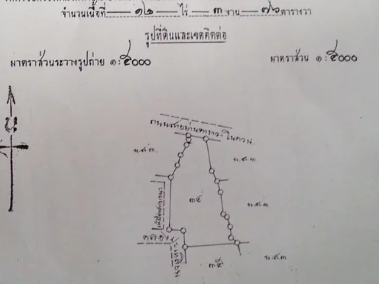 ขายสวนปาล์มอายุ3ปีเก็บผลผลิตได้แล้วจำนวน12ไร่3งานติดถนนหลักสายในควนย่านตาขาวห่างจากตลาดย่านตาขาว5กมไร่ละ380000เท่านั้น จตรัง