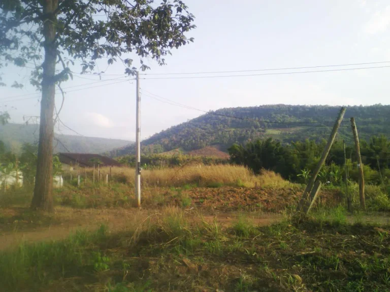 ขายที่ดินงานกว่าภูเรือใกล้ทางหลวง 750000