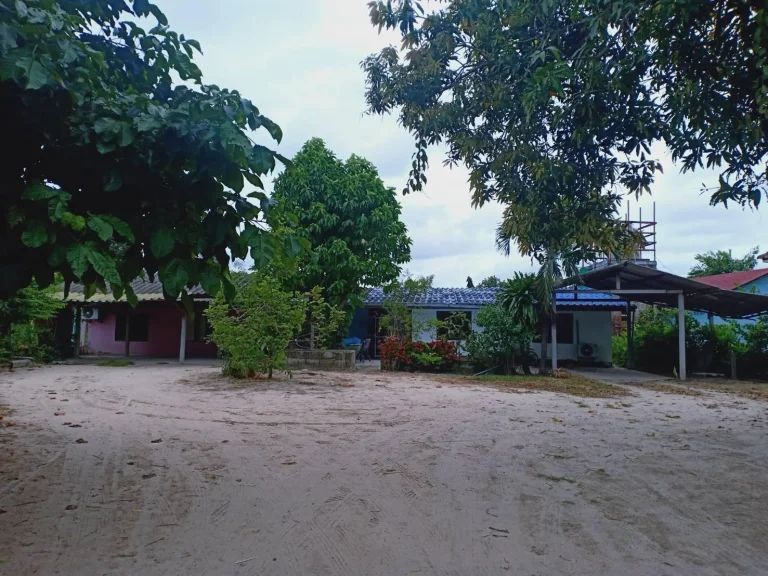 ประกาศขายบ้านพร้อมที่ดินทำเลดีติดถนนสองด้าน