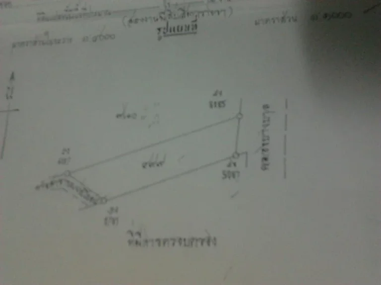 ที่ดินว่างเปล่า หน้าติดถนน หลังติดคลองบางบาลราคาเบาๆ