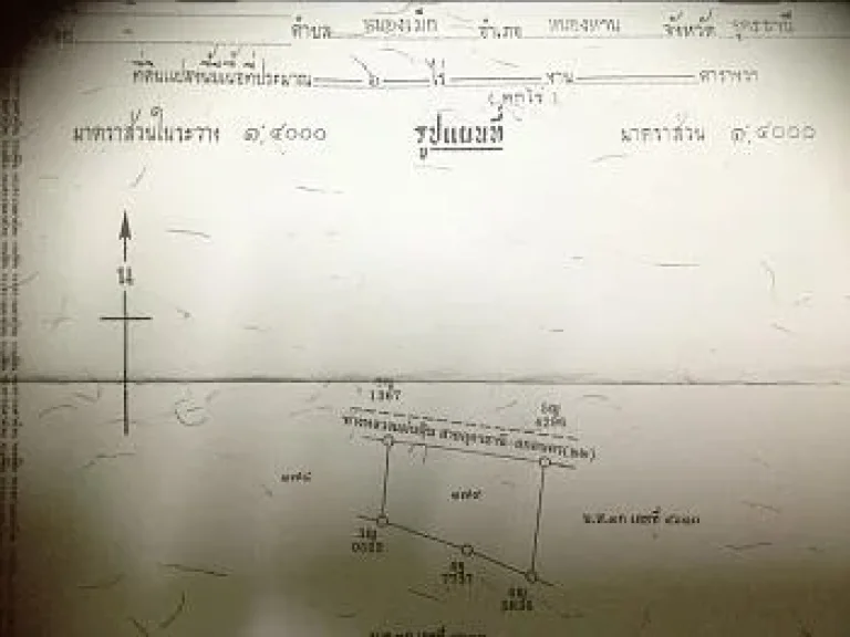 ขายที่ดินติดถนนอุดร-สกลนคร