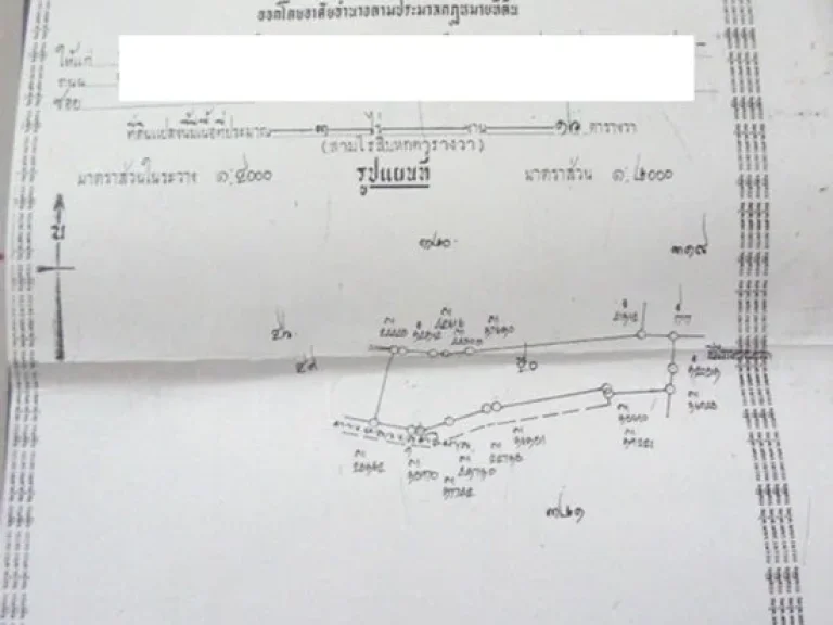 ขายที่ดิน3ไร่กว่า1ล้านบาทตสว่างอารมณ์อดอกคำใต้เขตเทศบาลจพะเยาใกล้ขนมจีนยายหม่อม