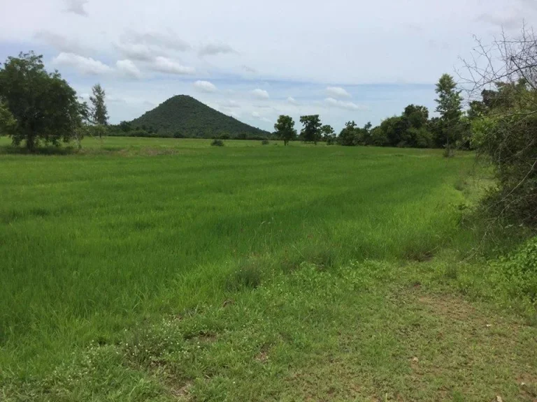 ขายที่ดิน ทำเลดี อเดิมบางนางบวช จสุพรรณบุรี