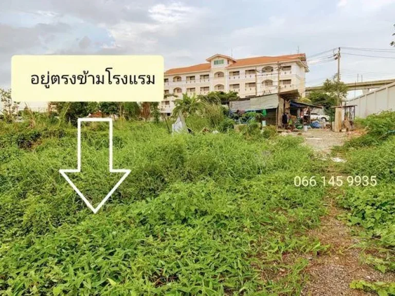 ขายที่ดินลาดกระบัง ที่ดินจัดสรร 283 ตรว ติดถนนเมน ซลาดกระบัง38 ติดถนนซอย 2 ด้าน