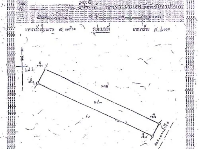 ที่ดินข้าง อบตหนองปรือ จำนวน 5 ไร่