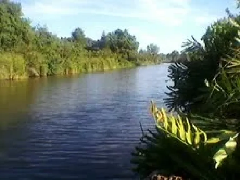 ที่ดินติดคลองขนาดใหญ่ บรรยากาศดีสุดๆ โฉนดพร้อมโอน