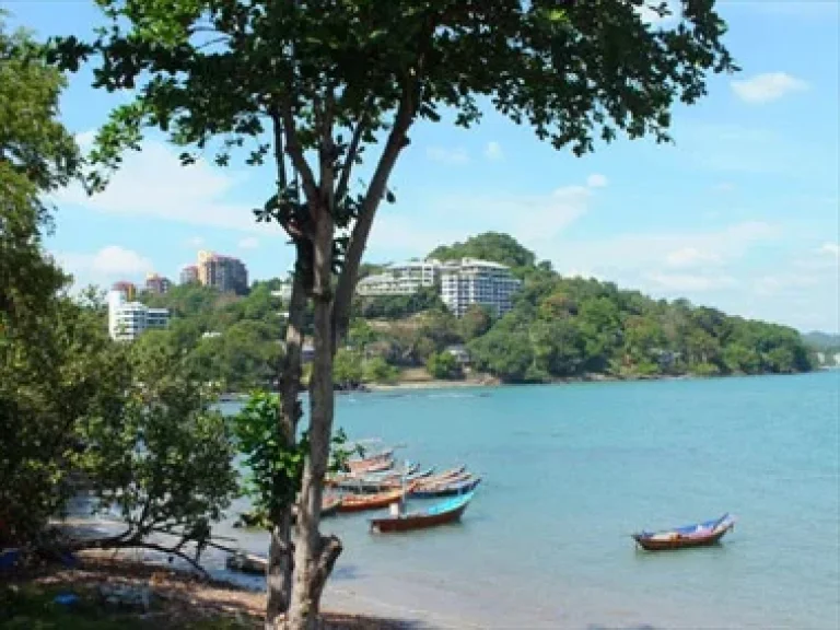 ขายที่ดินเปล่า เนื้อที่ 63 ตรวห่างทะเล 100 เมตร หาดส่วนตัว โฉนด