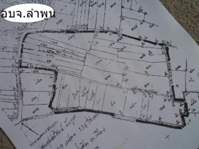 ขายที่ดิน ติด อบจลำพูน จลำพูน