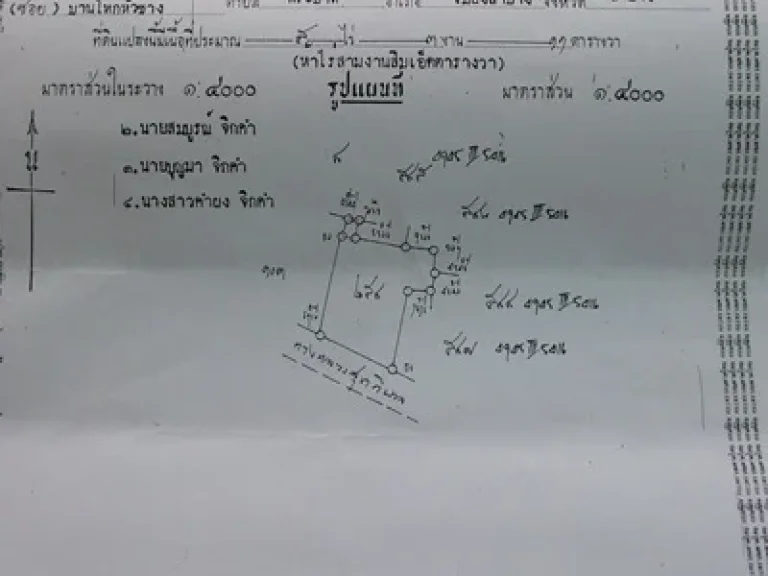 ขายที่ในหมู่บ้าน 5 ไร่ 3 งาน 11 ตารางวา