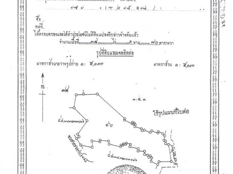 ขายที่ดิน 38 ไร่ เหล่าเสือโก้ก อุบลราชธานี