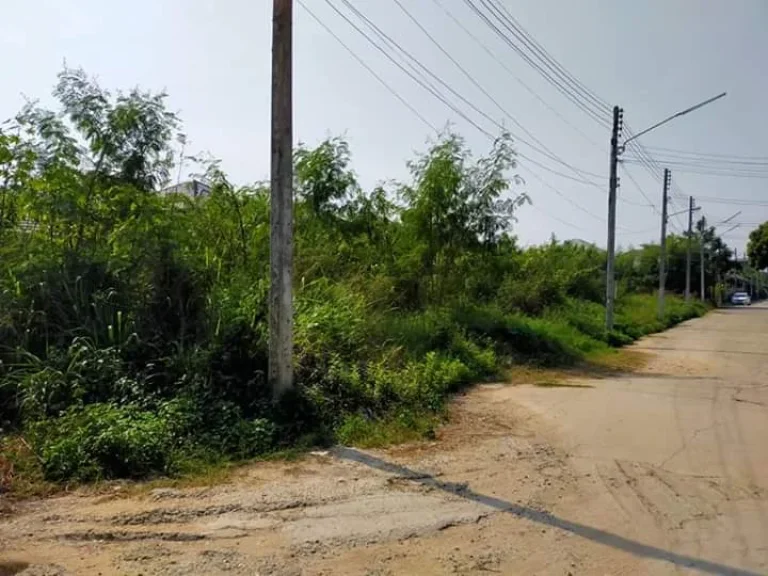 ขายที่ดินในโครงการร้องเรือนคำ แม่เหียะ เชียงใหม่