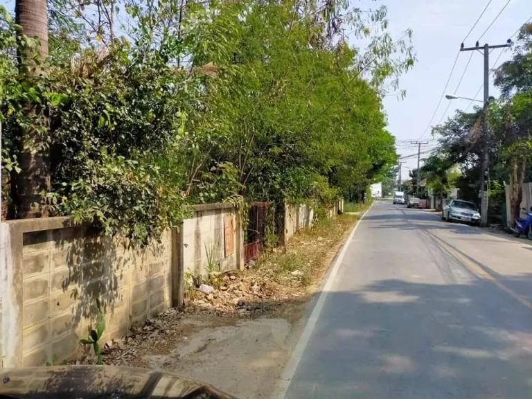 ขายที่ดินติดถนนคอนกรีต ในหมู่บ้านร้องเรือนคำ แม่เหียะ เชียงใหม่