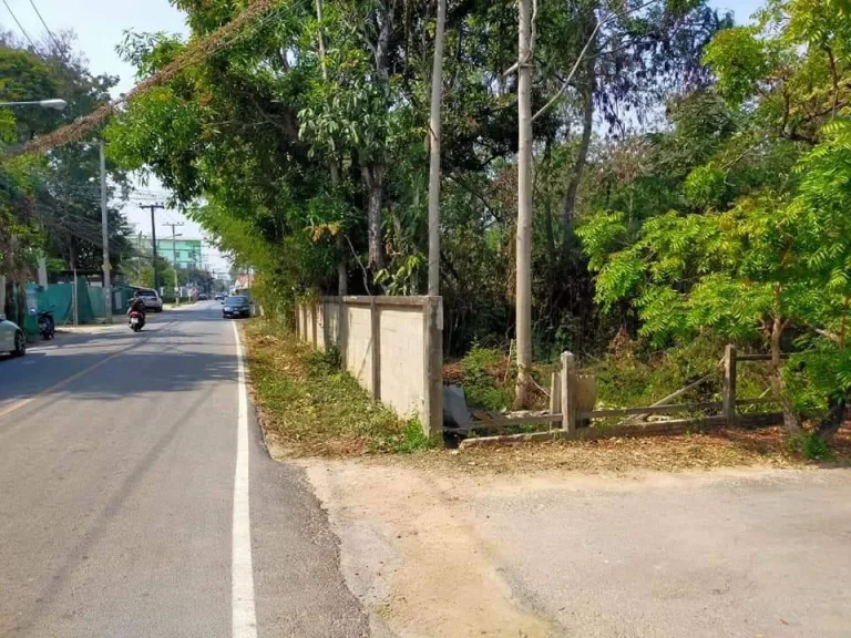 ขายที่ดินติดถนนคอนกรีต ในหมู่บ้านร้องเรือนคำ แม่เหียะ เชียงใหม่