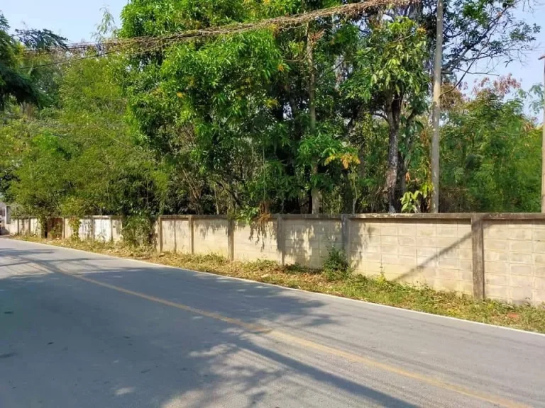 ขายที่ดินติดถนนคอนกรีต ในหมู่บ้านร้องเรือนคำ แม่เหียะ เชียงใหม่