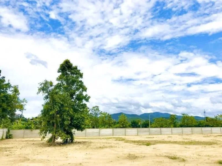 ขายที่ดินสันกำแพง ห่างดอนจั่น 17 km แม่ออน เชียงใหม่