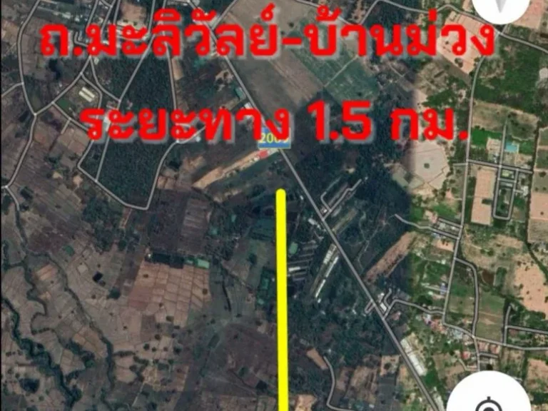 ขายที่ดินถูก4-1-38ไร่ แหล่งชุมชน ตบ้านทุ่ม อเมือง จขอนแก่น