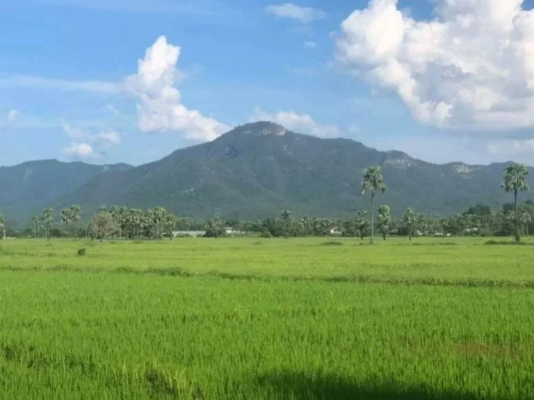 ขายที่ดินวิวดอยสันกำแพง แช่ช้างเชียงใหม่